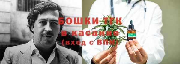 мяу мяу мука Горняк